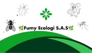 Fumy Ecologi SAS